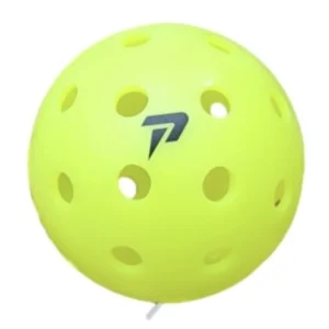 Bóng Pickleball Passion